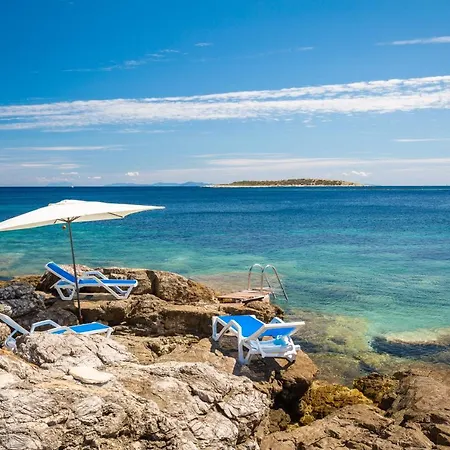 فيلة Carisma Island